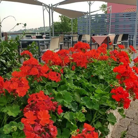 Campodirondo Salcedo